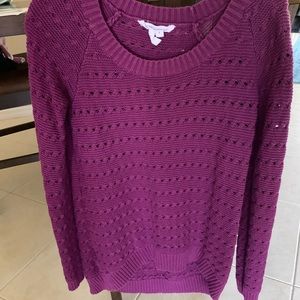 BCBG Small Sweater